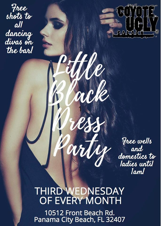 Little Black Dress in Panama City Beach on February 19, 2020