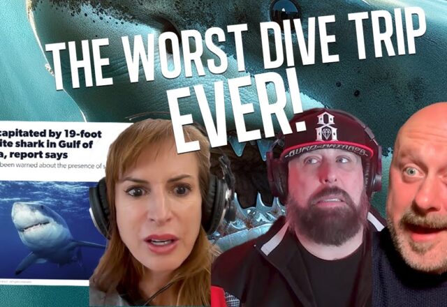 Podcast Worse Dive