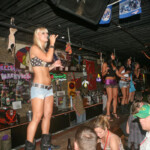 CMA Fest - Singing Coyotes