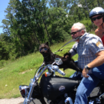 Animal Shelter Poker Run