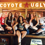 Coyotes 2017
