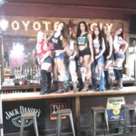 Coyotes 2017